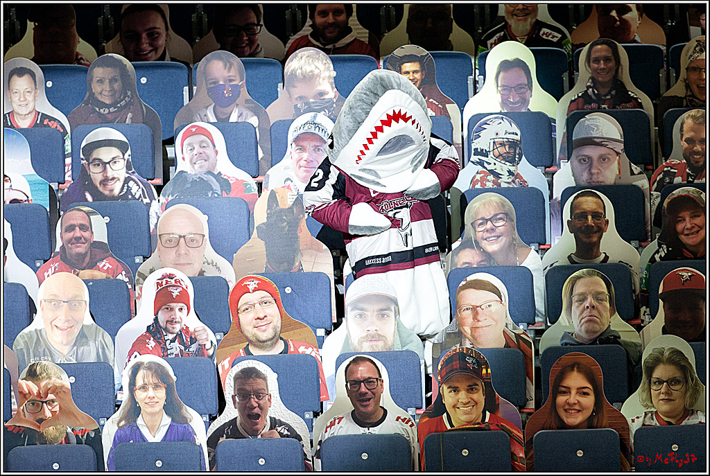 PENNY DEL;  Koelner Haie - Fischtown Pinguins Bremerhaven; Koeln, 12.02.2021